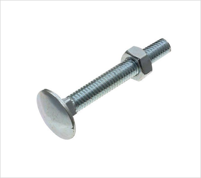 Stainless Steel Carriage Bolt