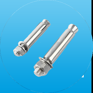 Stainless Steel Bolt