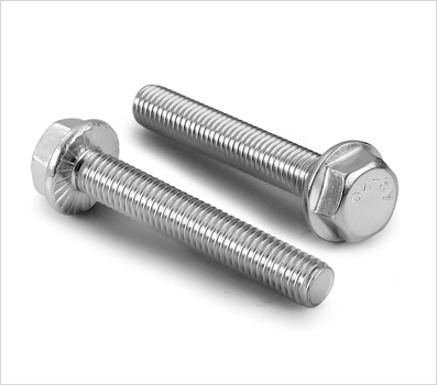 Stainless Steel Flange Bolt